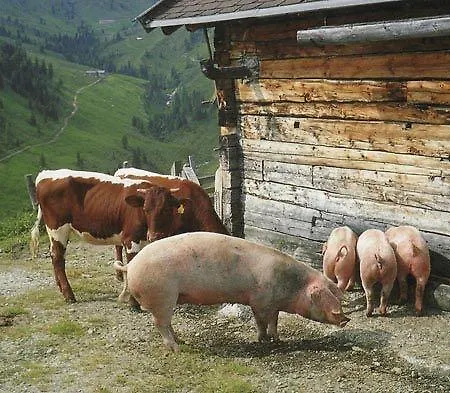 Haus Kathrin Lägenhet